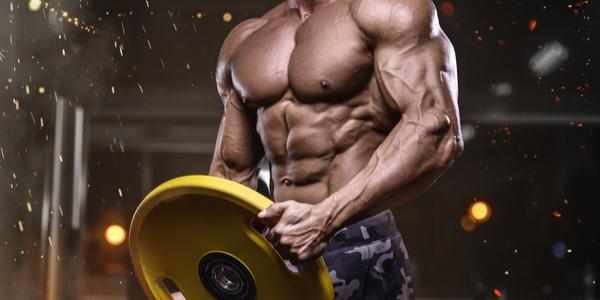 Best Legal Steroids for Strength, Size & Performance (Complete Guide)