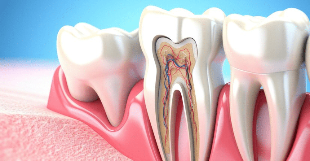 Root Canal Treatment: How It Saves Your Tooth