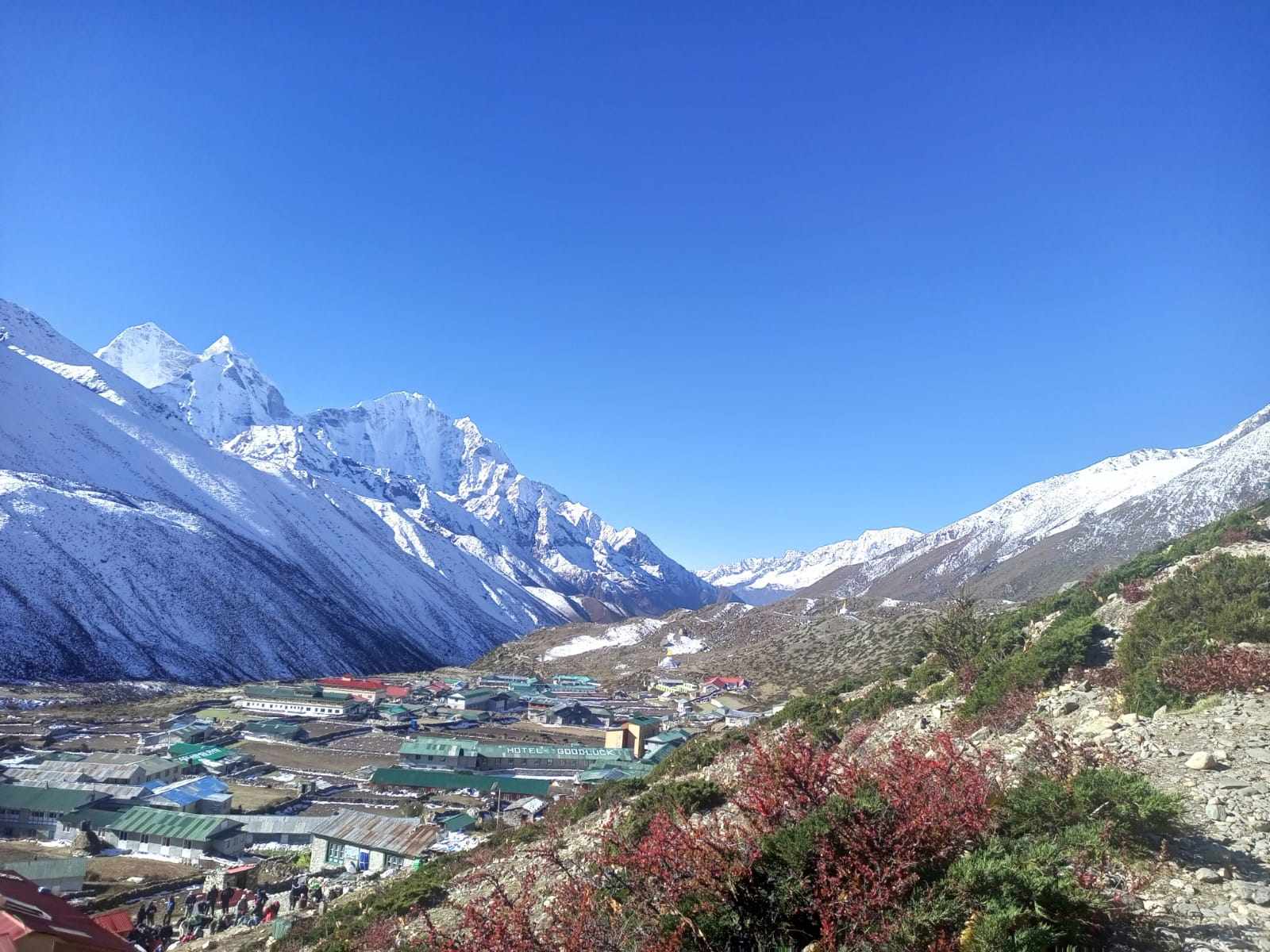 Solo on the Silent Trail: A Complete Guide to Trekking Mardi Himal Independently in 2026