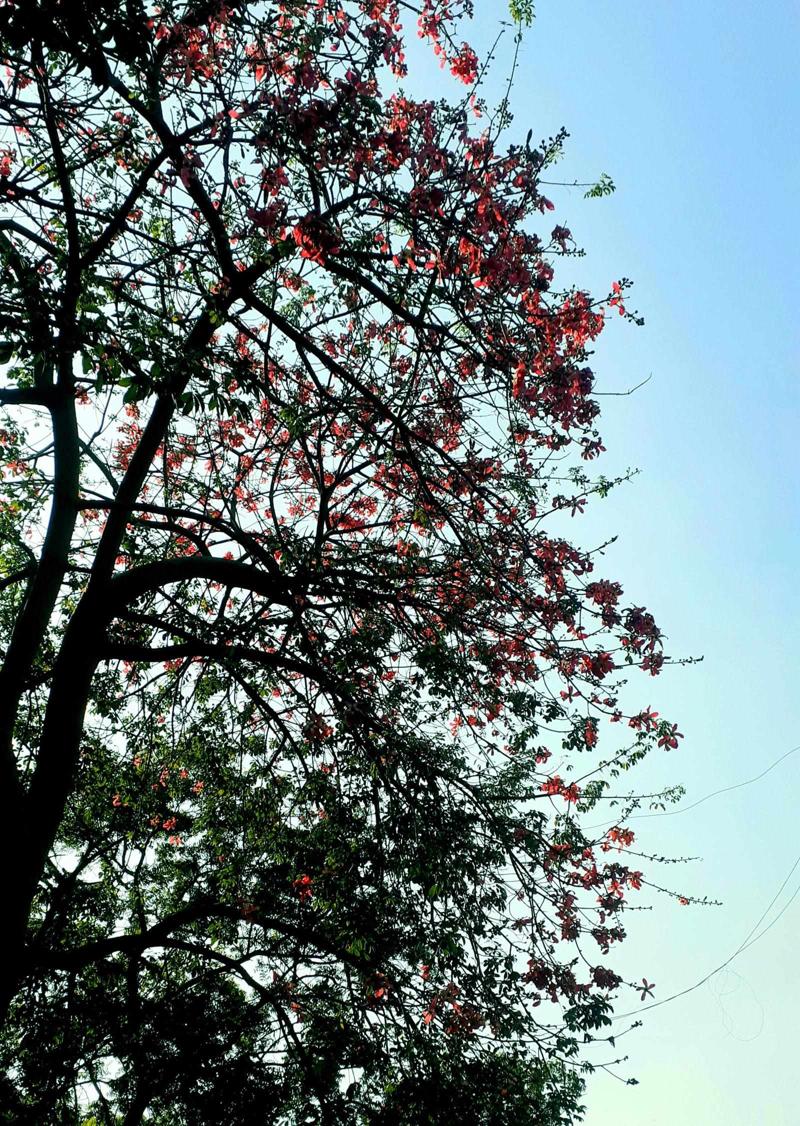 वो चन्द पन्ने