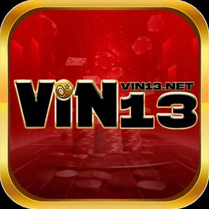 vin13net