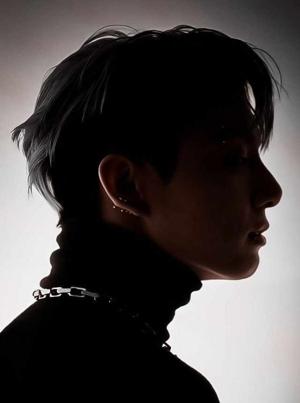 Wings Forever Fictional Wine logo