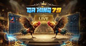 Đá Gà GAKING79 - Sân Chơi Đá Gà Trực Tuyến Uy Tín Số #1 2026
