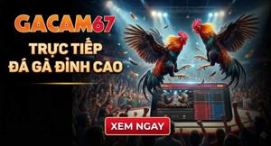 GACAM67 - TRỰC TIẾP ĐÁ GÀ C1 ĐẾN C6, TONHON, XÀ XÍA, GALAXY HÔM NAY