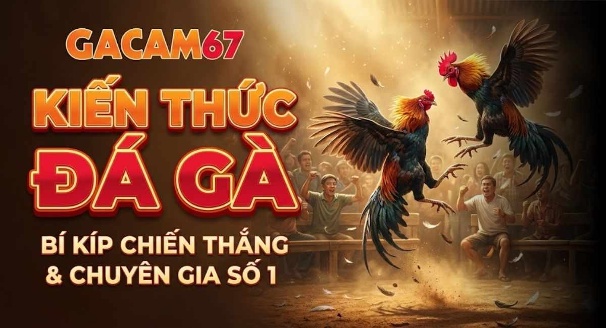 Kiến Thức Đá Gà – Tổng Hợp Tinh Hoa Nuôi Gà Đá Tại GACAM67