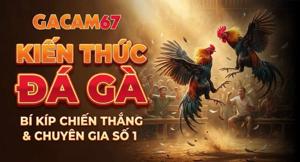 Kiến Thức Đá Gà – Tổng Hợp Tinh Hoa Nuôi Gà Đá Tại GACAM67