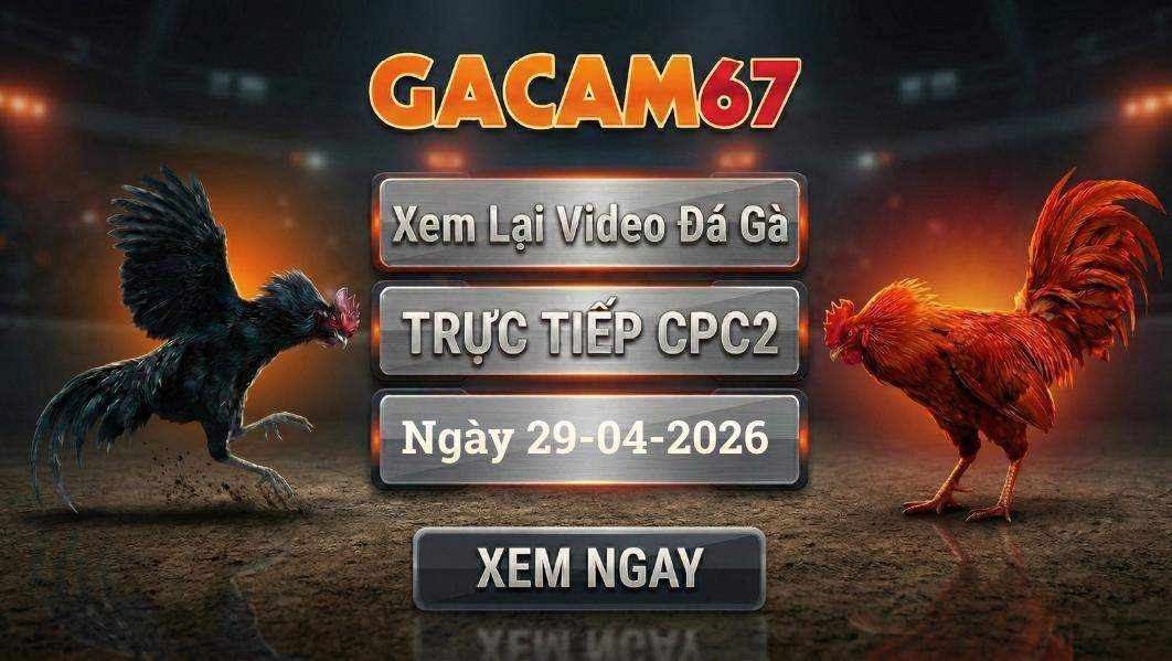 GACAM67 - Xem Lại Video Đá Gà CPC2 Ngày 29/04/2026