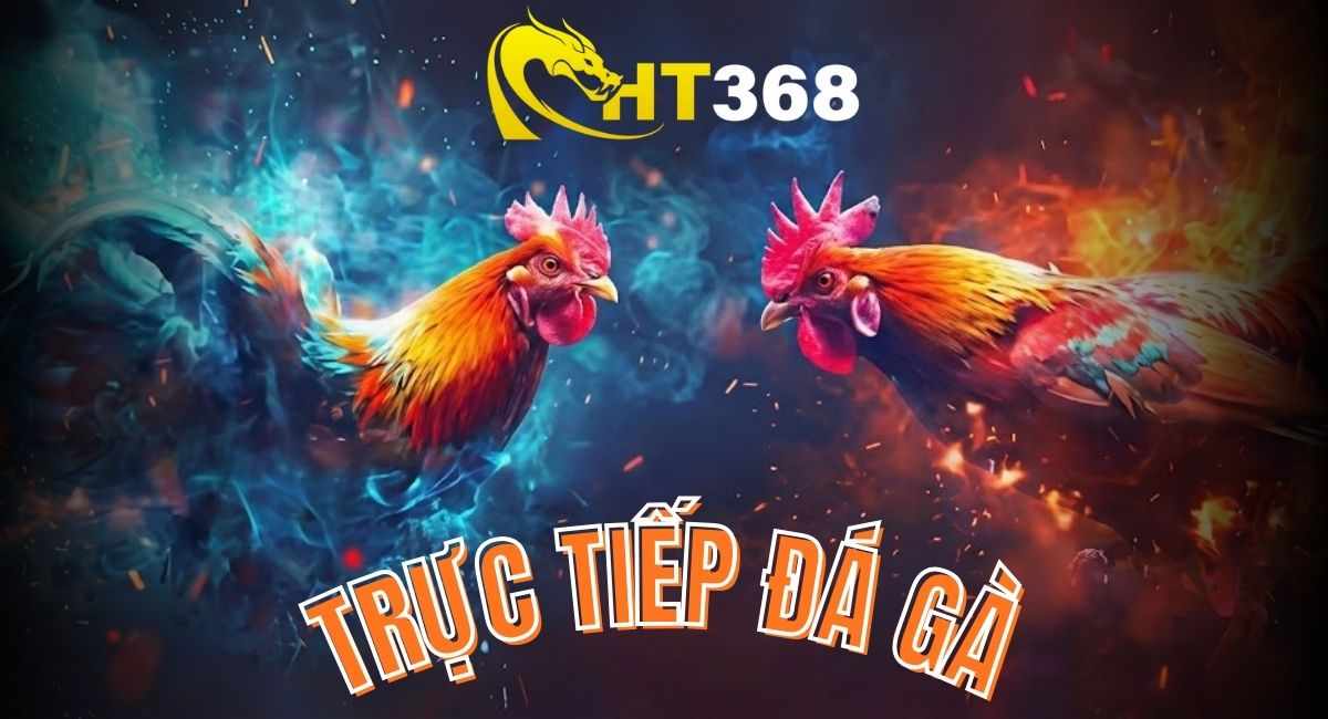 HT368 -TRỰC TIẾP ĐÁ GÀ BỒ GÀ HA TIEN 368
