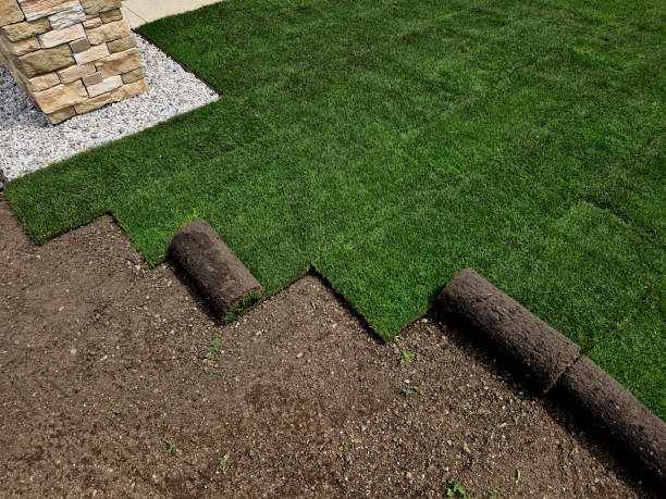 Major Advantages of Installing Turf for Garden Areas
