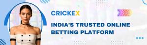 Welcome to Crickex—Bet on IPL Matches with Real-Time Odds