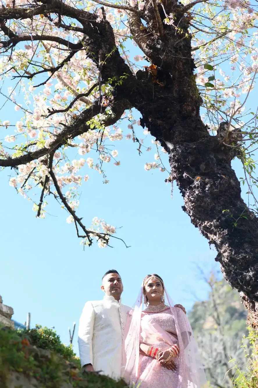 How Does Triyuginarayan Temple Wedding Registration Online Actually Work (And Is It Really That Complicated)?