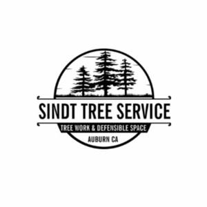 Sindt Tree Service