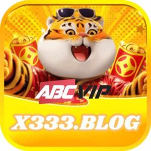 x333