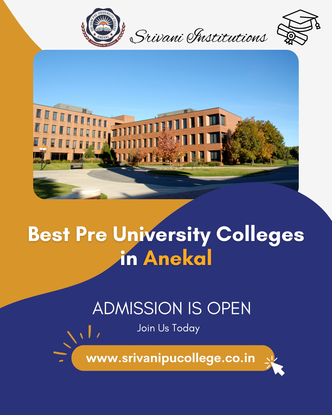 Institute of Higher Secondary Education | Srivani Institutions