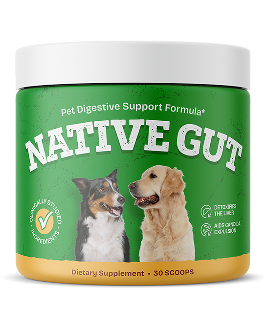 What Is NativeGut and How Does It Support Gut Health Naturally?