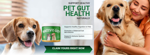 NativeGut: Advanced Natural Gut Health Supplement for Digestive Balance