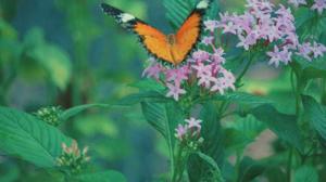 Beti ki chut ka pyaar