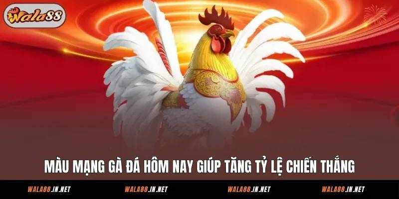 Giải mã màu mạng gà đá hôm nay cùng chuyên gia Wala88