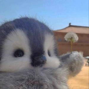 5 • Girl friends??