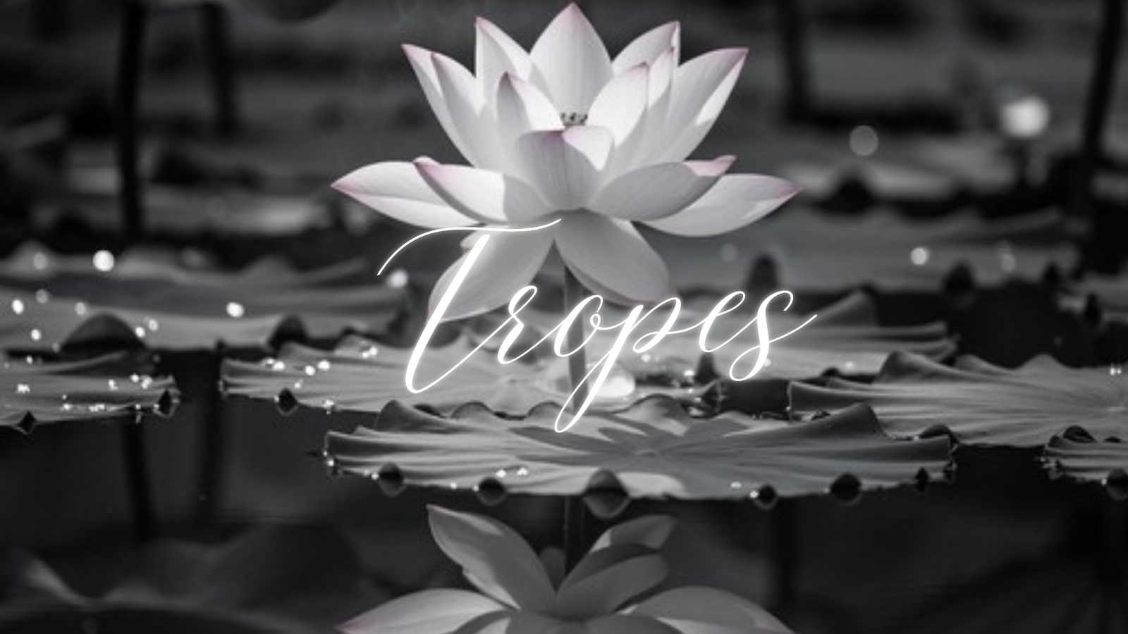 – Mature Language & Themes– Explicit Sexual Content / Smut– Violence, Physical Danger & Injuries– Assassination Attempts & Blood– Threats & Intimidation– Political Manipulation & Deep Betrayal– Deep Romantic Obsession & Possessiveness– Family Conf...