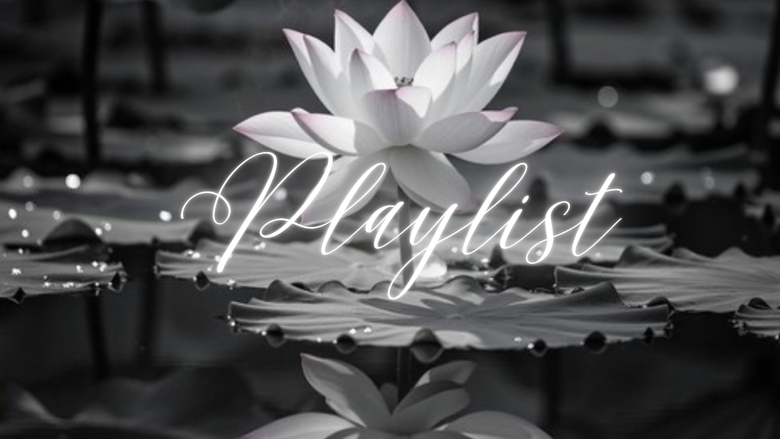 ⢠Laal Ishq â Arijit Singh⢠Ang Laga De â Aditi Paul, Shail Hada, Sanjay Leela Bhansali⢠Deewaana Deewaana â AR Rahman, Irshad Kamil⢠Rewrite The Stars â Zac Efron, Zendaya⢠Lahu Munh Lag Gaya â Shail Hada, Sanjay Leela Bhansali⢠Dheera Dheera â M