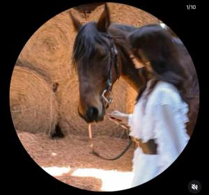 SRISHTI SHAW stad logo