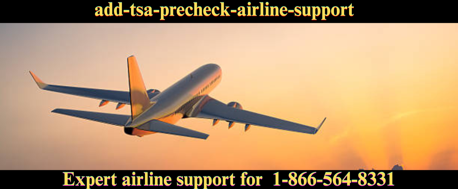 How To Add TSA PreCheck To Saudia