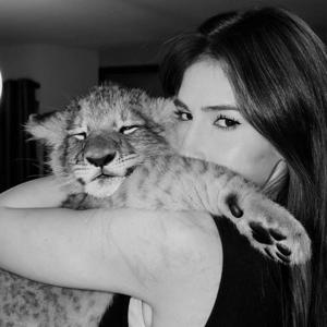 𝐘𝐔𝐕𝐈🍁 logo