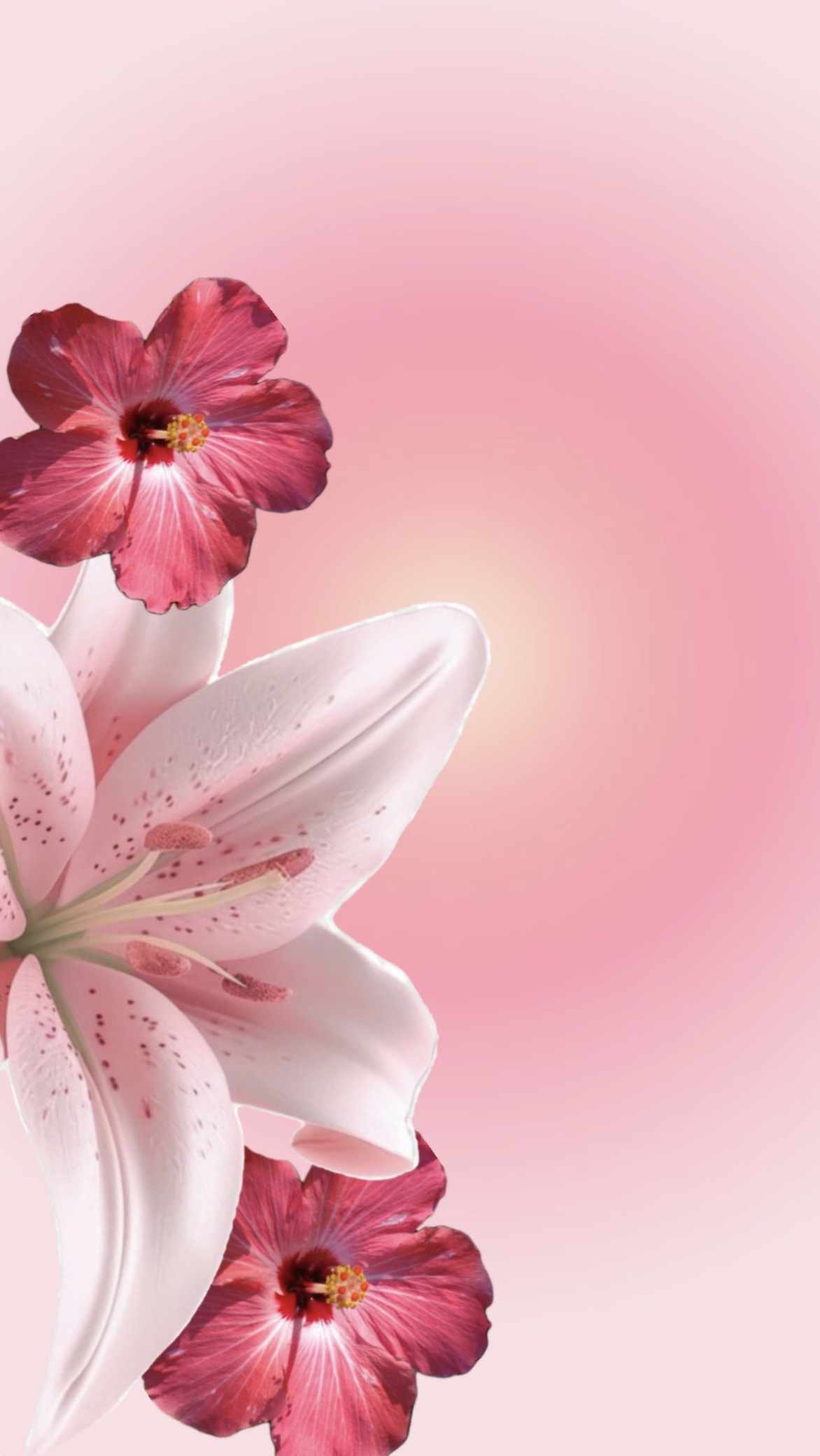 “Mi propósito de vida”