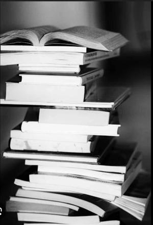 Julio Sosa Garcia logo