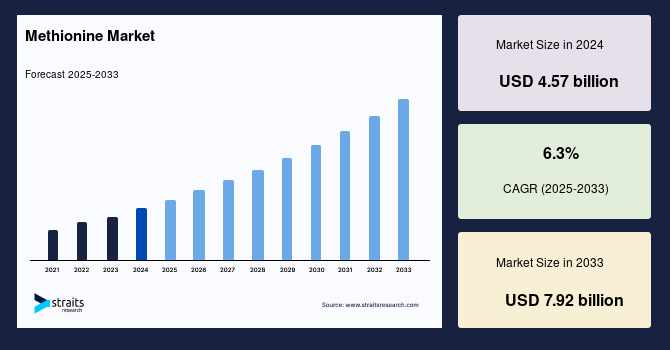 Global Methionine Market: Driving Healthy CAGR Amid Intense Competition and Forecast Outlook to 2033