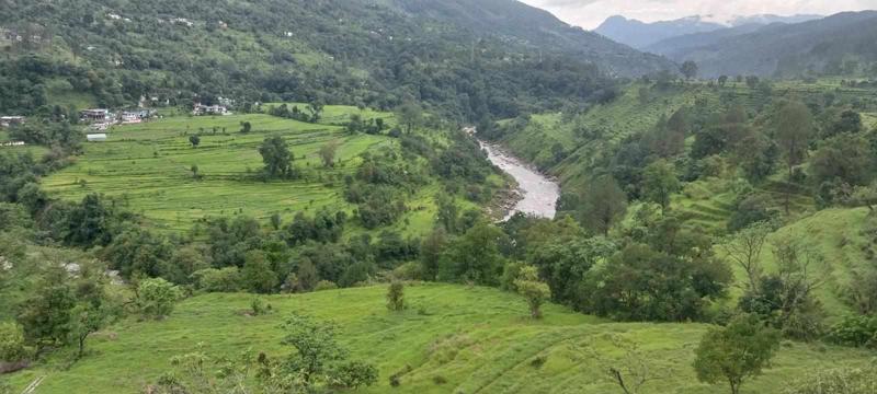 थोड़ी सी चालाकी 