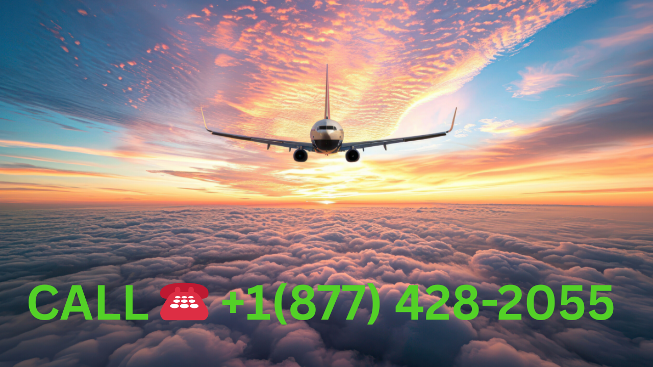 Cancel air canada international flight from new york to melbourne [International-Flight]