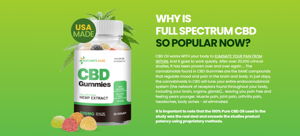  TruFull CBD Gummies™: A Natural, Non-Habit-Forming Solution