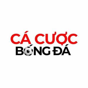 Top Web Cá Cược Bóng Đá An Toàn, Bảo Mật Nhất 2026 