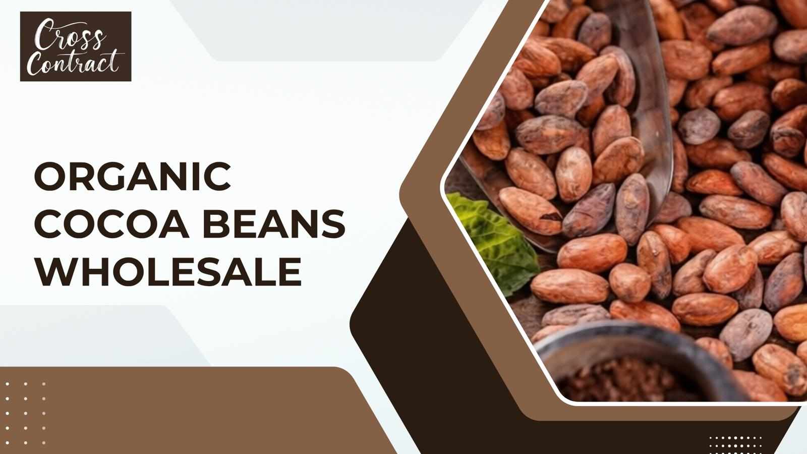 Why Organic Vanilla Beans Wholesale Continues to Expand Globally