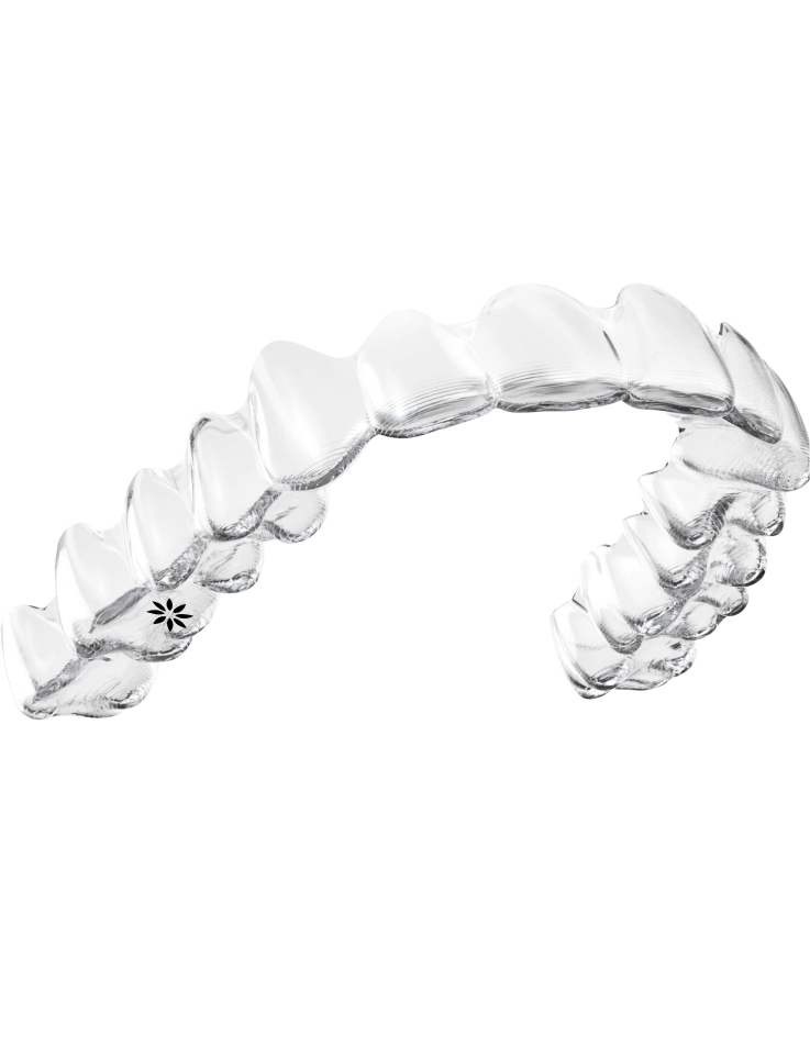 Get a Smile You Can Feel Great About with Modern Orthodontic Options