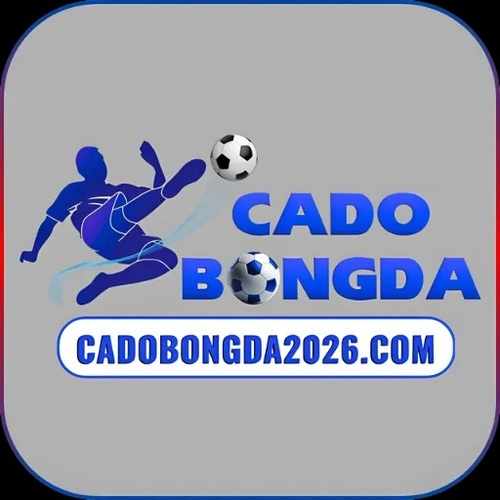 Trang cá độ bóng đá uy tín