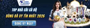 Trang cá độ bóng đá uy tín