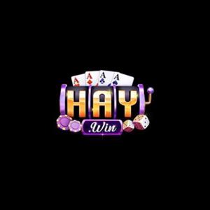HAYWIN logo