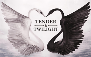 TenderandTwilight  logo