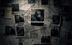Chapter 33: Surveillance