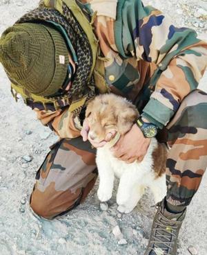 "धड़कनों के बीच सुबह की पहली मुस्कान🐾"