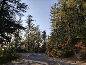 "करुणा और कर्तव्य"