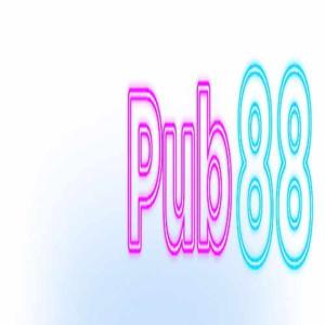PUB88 logo