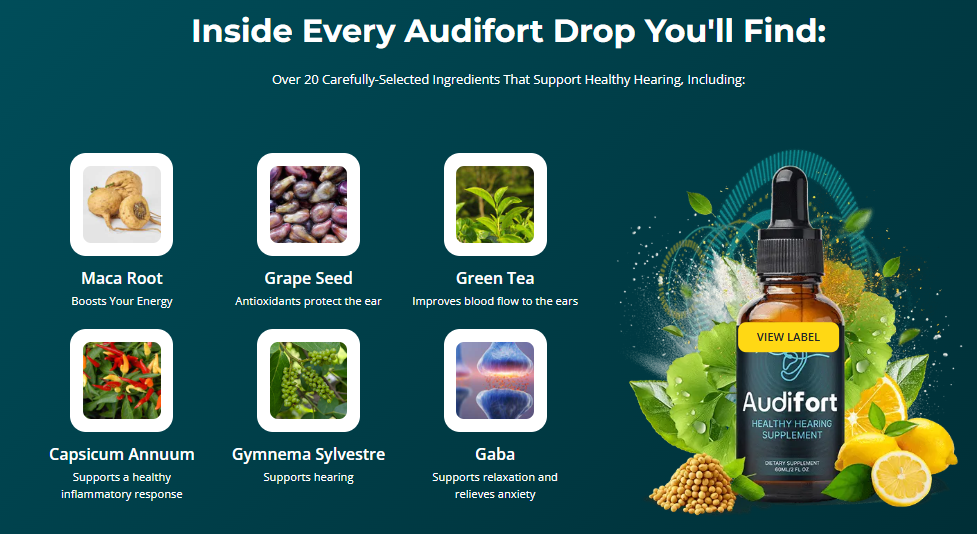 Audifort 2025 Reviews