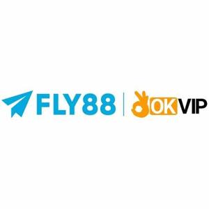 Fly888 it com