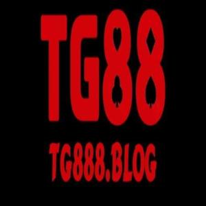 Tg888 blog