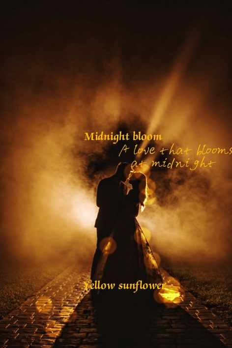 Midnight bloom