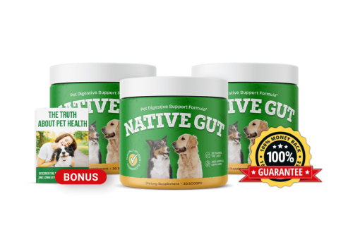 NativeGut Digestive Support Formula for Long-Term Gut Health